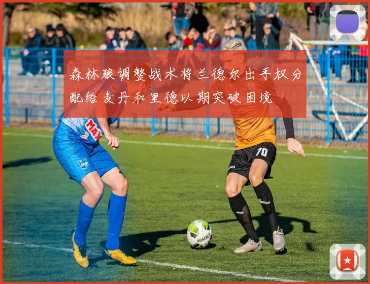 森林狼调整战术将兰德尔出手权分配给麦丹和里德以期突破困境