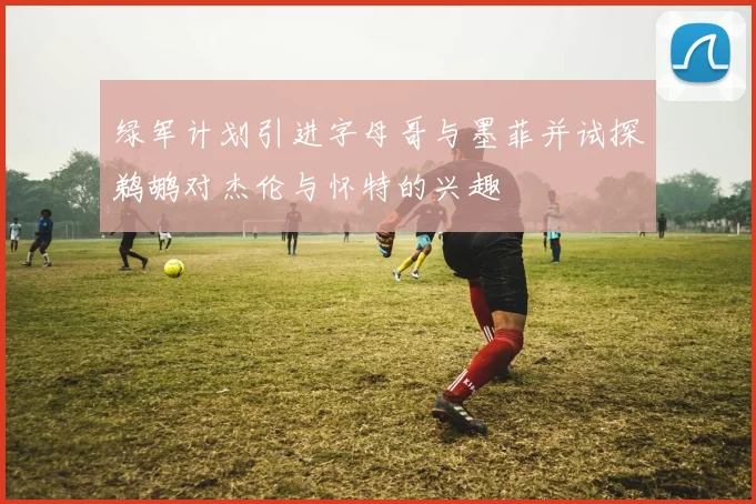 绿军计划引进字母哥与墨菲并试探鹈鹕对杰伦与怀特的兴趣